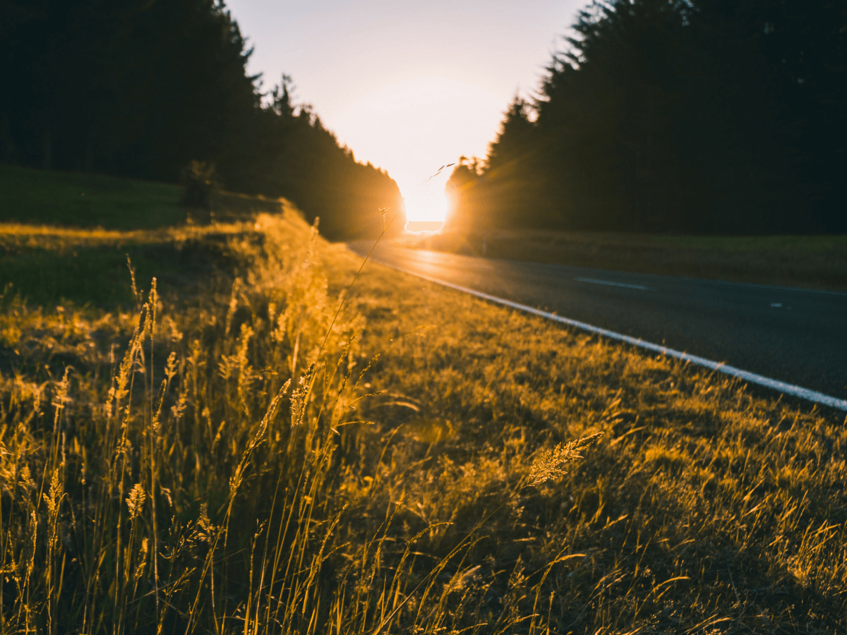 En we reden door | Thearie